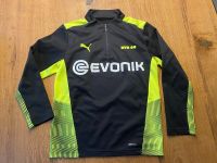 Original BVB Trainingsshirt Münster (Westfalen) - Wienburg Vorschau