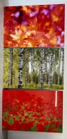 3 x Bilder Mohnfeld Birkenwald Blätter Herbst Natur Nordrhein-Westfalen - Lippstadt Vorschau
