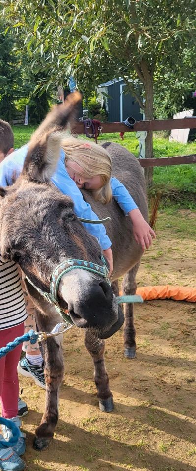 Märchenschatzsuche-mit Pony & Esel auf Schnipseljagt in Dierdorf