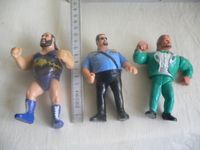 HASBRO WRESTLER FIGUREN MIT MOVE !! Sachsen-Anhalt - Burg Vorschau