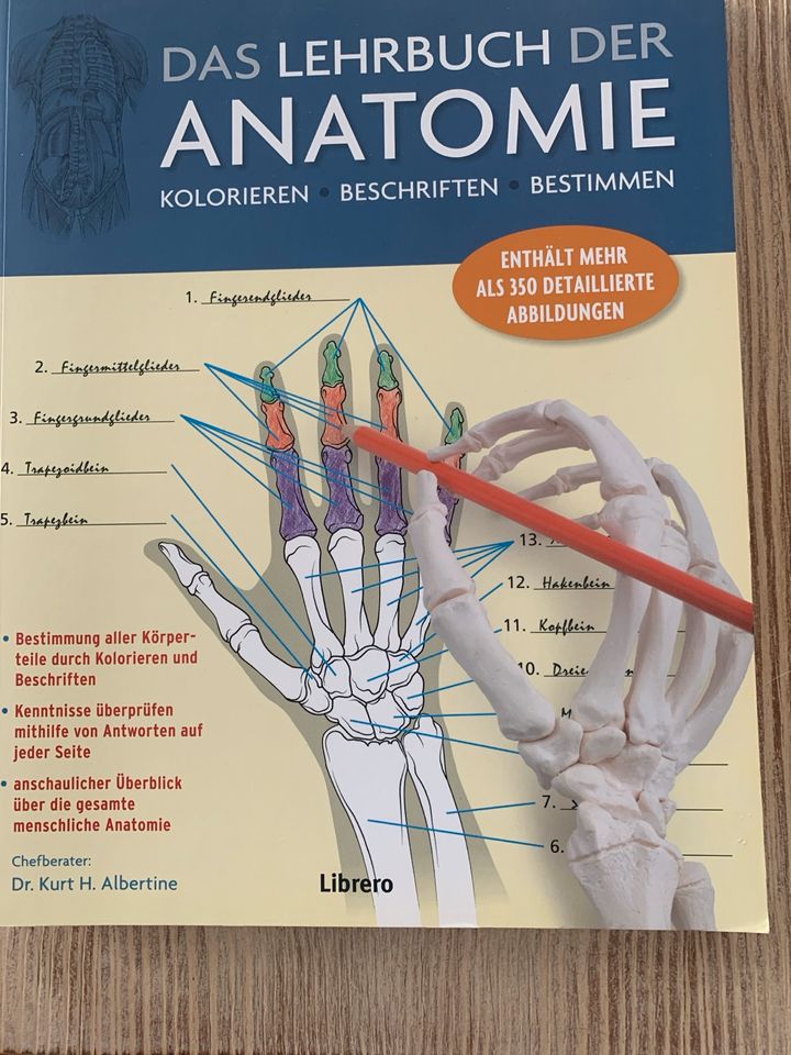 Das Lehrbuch der Anatomie unbenutzt in Daubach