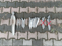 Zelthering APAG Flügelhering DDR Zelt Camping Ausrüstung Alu alt Berlin - Mahlsdorf Vorschau