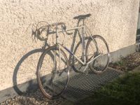 Gios Torino Professionale weiß Kr. Dachau - Odelzhausen Vorschau