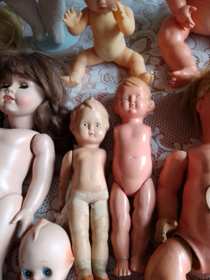 Puppen sammlung alt für Puppendoktor in Königsmoos