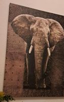 Leinwand Bild Elefant sehr schön und Elegant Bothfeld-Vahrenheide - Sahlkamp Vorschau