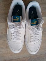 Puma Schuh Gr 42 Dortmund - Mitte Vorschau