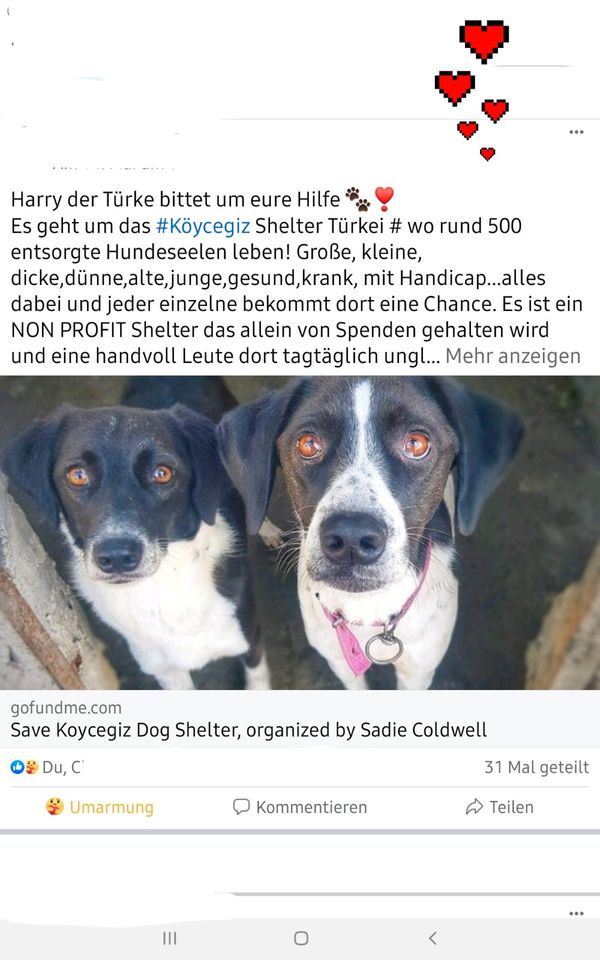 Dankeschön von ganzem Herzen...Harry der Türke ❣ in Maxhütte-Haidhof