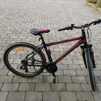 Mountainbike 21 Gang Bayern - Aiglsbach Vorschau