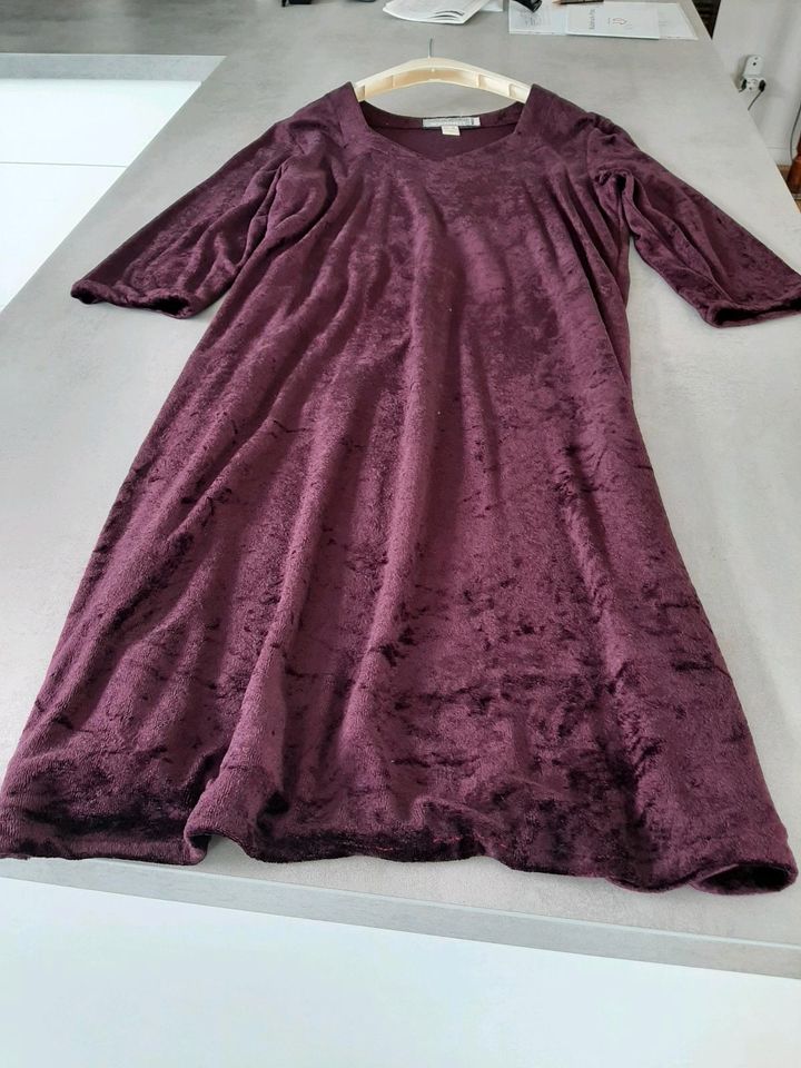 Pannesamtkleid, Gr. 40 in Bad Pyrmont