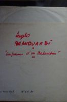 Angelo Branduardi, Vinyl LP "Confessions d'un Malandrin", Bayern - Bad Füssing Vorschau