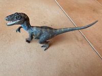 Schleich 14524 Velociraptor Dinosaurs wie neu Bonn - Ippendorf Vorschau