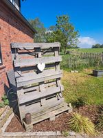 Palettenwand Garten Schleswig-Holstein - Eckernförde Vorschau