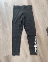 Adidas Leggings Bayern - Bruck Vorschau