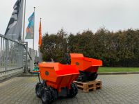 DINO Dumper Allrad mit 6 Räder 500kg Schüttmulde, Nordrhein-Westfalen - Ochtrup Vorschau