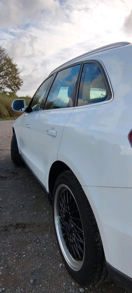 Audi Q5 2.0 TDI Clean Diesel 150 PS in Schöningen