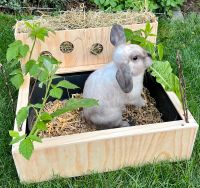 Kaninchen Zubehör Einrichtung Haus Futterplatz Versteck Kleintier Nordrhein-Westfalen - Heinsberg Vorschau