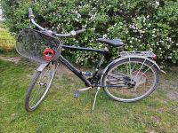 Conway Herren Fahrrad 28 Zoll Brandenburg - Herzfelde Vorschau