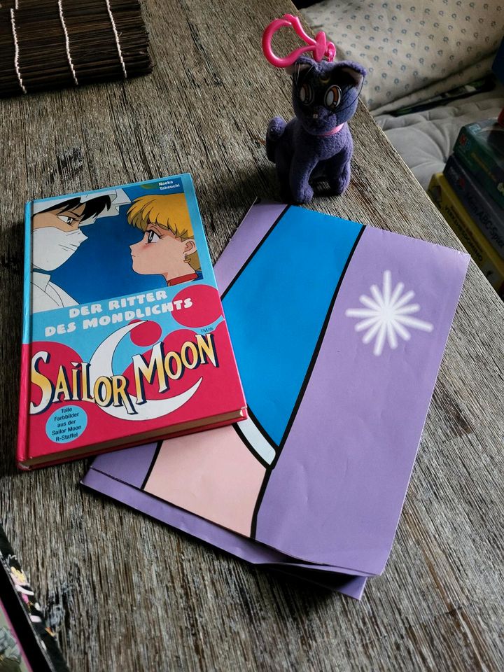 Witsch, Sailor Moon, Dragon Ball Sets in Pappenheim