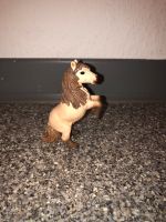 Schleich 13775 Mini Shetty Hengst Hessen - Pohlheim Vorschau