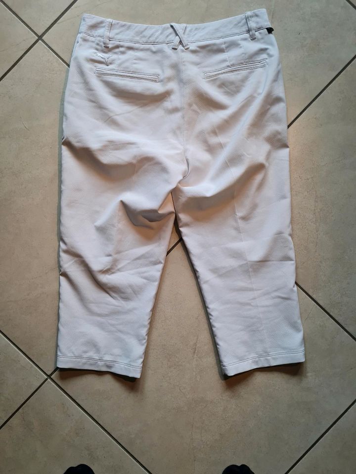 Damen Golfhose 3/4 Gr. 36 Puma in Bielefeld