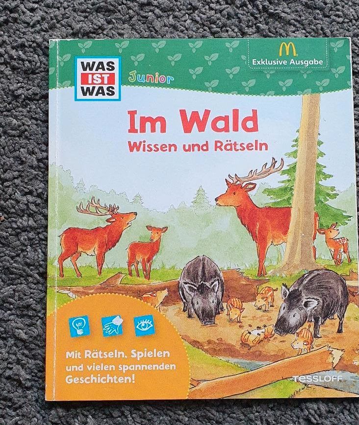 Was ist was Junior: Im Wald - Wissen und Rätseln in Emsdetten