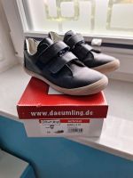 Däumling Gr. 33 NEU schmal Sneaker Schuhe Odissea Mel dunkel blau Niedersachsen - Tostedt Vorschau