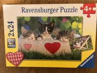 Puzzle Ravensburger Katzen 4+ Berlin - Lichtenberg Vorschau