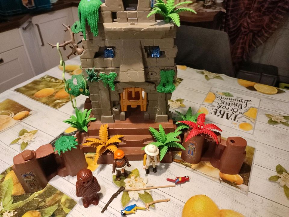 Dschungelruine Inka Tempel Playmobil 3015 in Flechtingen
