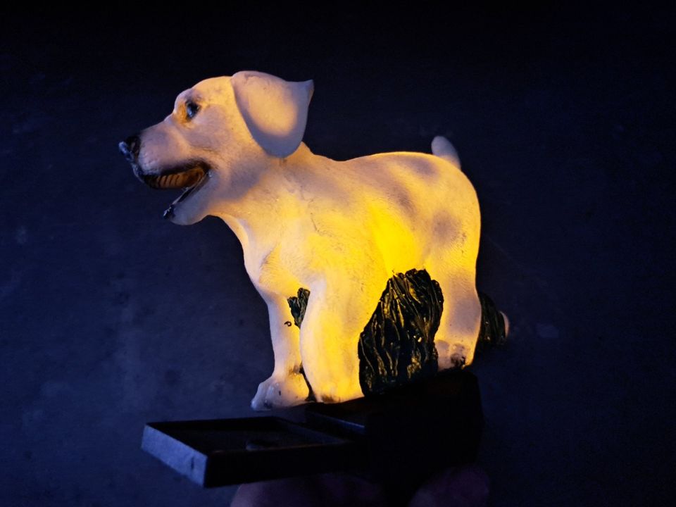 Hund Solarlampe in Freudenstadt