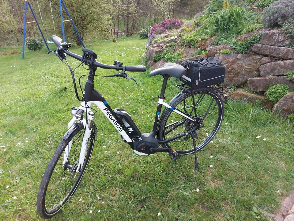Pegasus Premio E10 Lite weiß  E-Bike Damen Trekking Rh 45 cm in Fahrenbach