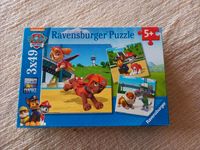 Paw Patrol Puzzle 3 x 49 Teile Ravensburger 3x49 Baden-Württemberg - Edingen-Neckarhausen Vorschau