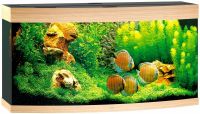 JUWEL AQUARIEN Aquarien Vision 260 LED + SBX Vision 260 Nordrhein-Westfalen - Lübbecke  Vorschau