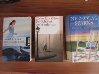 Buch/Roman:Judith Lennox,Nicolas Sparks,Carlos R.Zafon Saarbrücken-Mitte - St Johann Vorschau