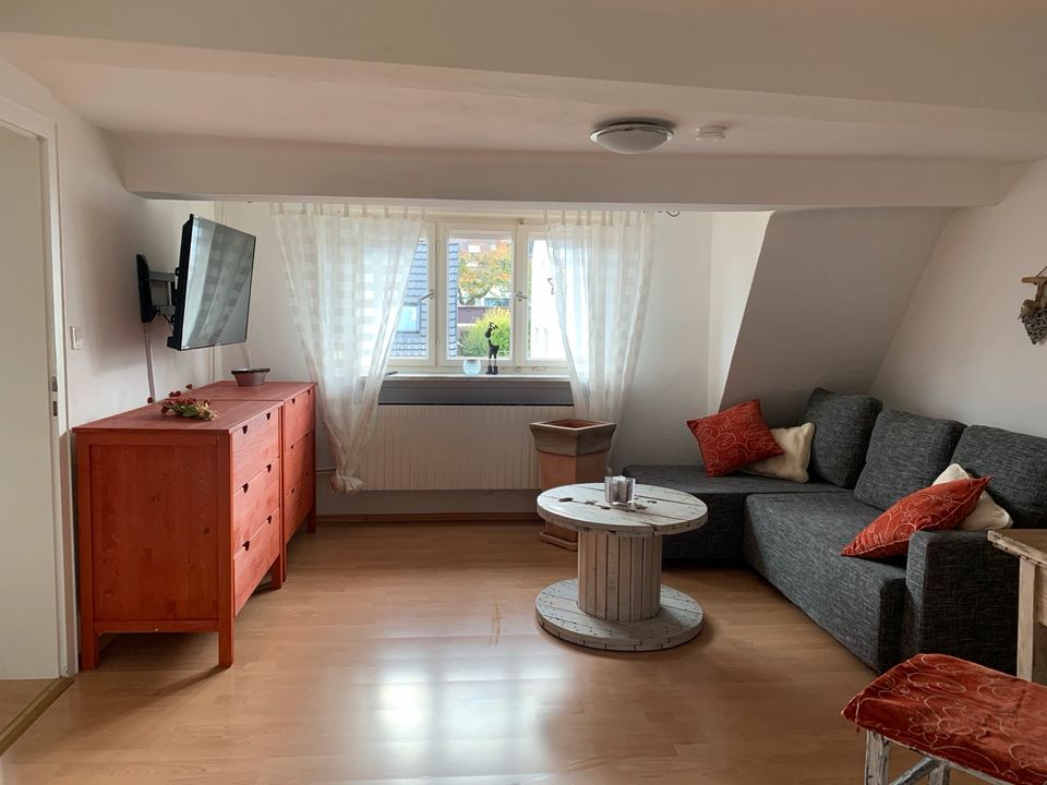 Apartment 2 Zimmer Wohnung FeWo Ettlingen 960€/Mon.all in 1 Pers. in Ettlingen