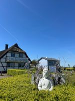 Ferienwohnung auf Rügen Mecklenburg-Vorpommern - Kluis Vorschau