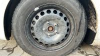 Winterreifen 5x112 VW/Audi/Seat/Skoda Schleswig-Holstein - Wakendorf II Vorschau