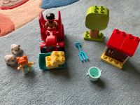 Lego Duplo Traktor und Tierpflege 10950 Duisburg - Rumeln-Kaldenhausen Vorschau