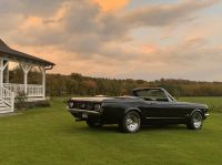 Oldtimer mieten / Hochzeit: 1965 Ford Mustang Cabrio Herzogtum Lauenburg - Schönberg Vorschau