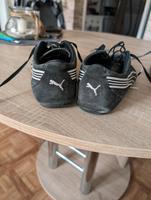Sneaker Puma Damen, Größe 39 Sachsen-Anhalt - Halle Vorschau