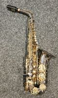 Chateau CAS-50CBL Obisidian Alt Saxophon Hannover - Mitte Vorschau