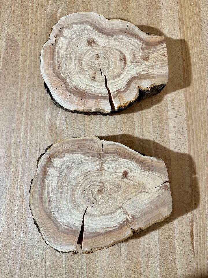 Apfelbaum Scheiben Baumscheiben Holzscheiben in Ehingen Mittelfr