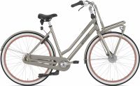 Gazelle Miss Grace RT Neu RH 50 cm Münster (Westfalen) - Geist Vorschau