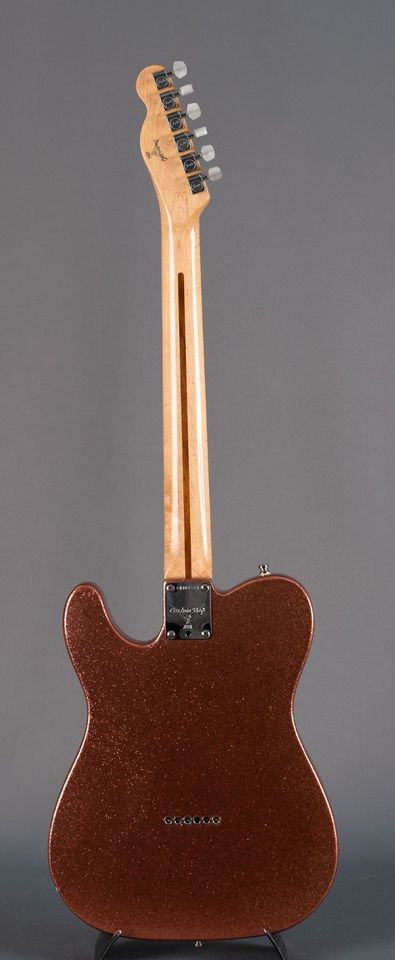 Fender Telecaster American Classic Champagne Sparkle (1995) in Eching (Kr Freising)