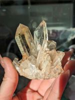 Kundalini Citrin Gruppe Stufe (Kongo) Mineralien Kristall Nordrhein-Westfalen - Hövelhof Vorschau