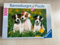 Ravensburger Puzzle 1000 Teile, Hunde: „Jack Russell Welpen“ Nordrhein-Westfalen - Paderborn Vorschau