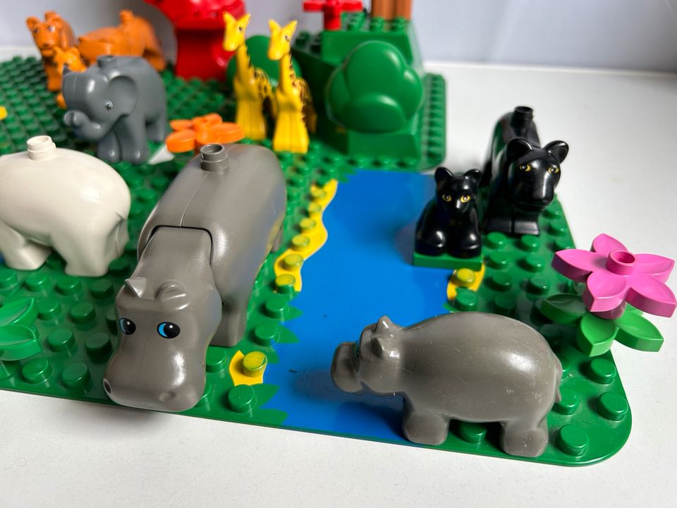 Lego® Duplo® großes Safari Set, Zoo, Tiere, Zootiere FP40€* in Eisenach