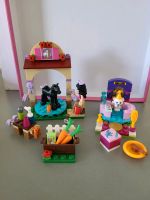 Lego 41123 und 41114 Party Katze und Waschplatz Pferd Nordrhein-Westfalen - Dinslaken Vorschau