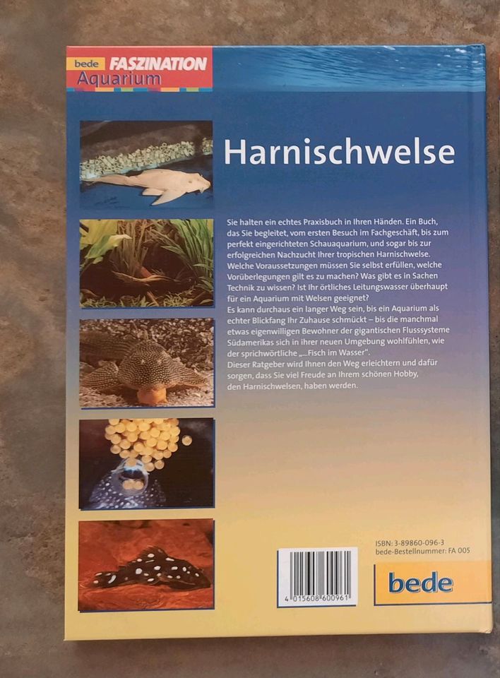 Harnischwelse Fachbuch in Riedstadt