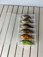 Elbfang Wobbler Crankbait 11cm 26g Rassel Angeln Hardbait NEU Ludwigsvorstadt-Isarvorstadt - Isarvorstadt Vorschau