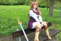 Raphtalia Cosplay Zubehör Dortmund - Holzen Vorschau